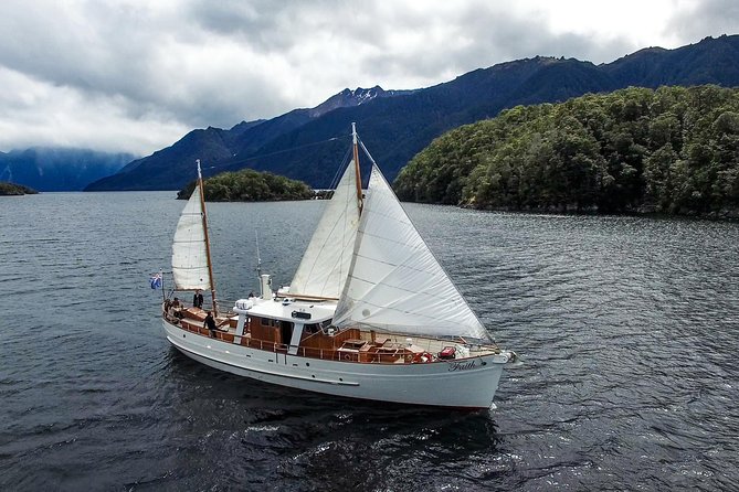 Morning Tea Cruise on Historic Motor Yacht From Te Anau - Pricing and Booking Details