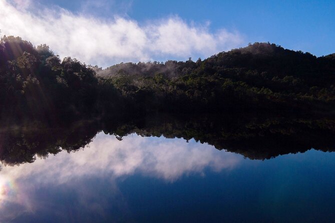 Morning World Heritage Cruise on the Gordon River From Strahan