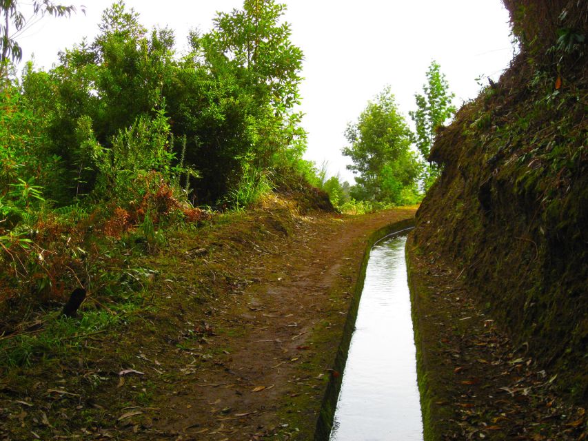 Moroccan / Mimosa Valley – Levada Walk