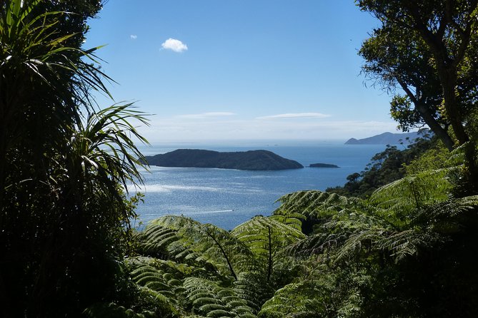 Motuara Island Bird Sanctuary and Ship Cove Cruise From Picton