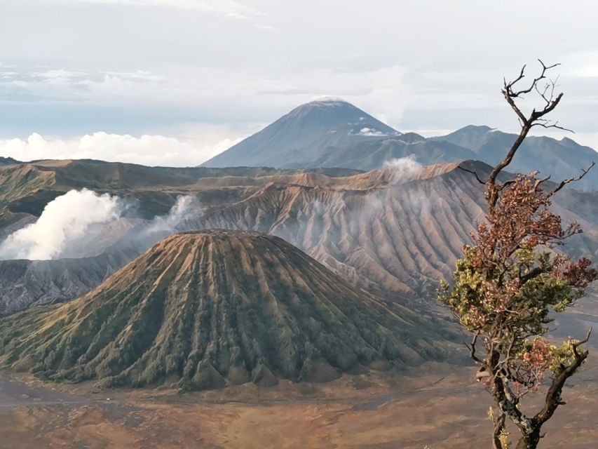 Mount Bromo Sunrise 1 Day Private Tour From Surabaya/Malang