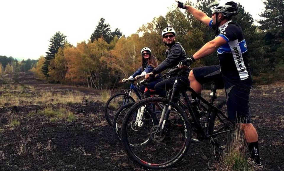 Mount Etna: Guided Mountain Bike Tour