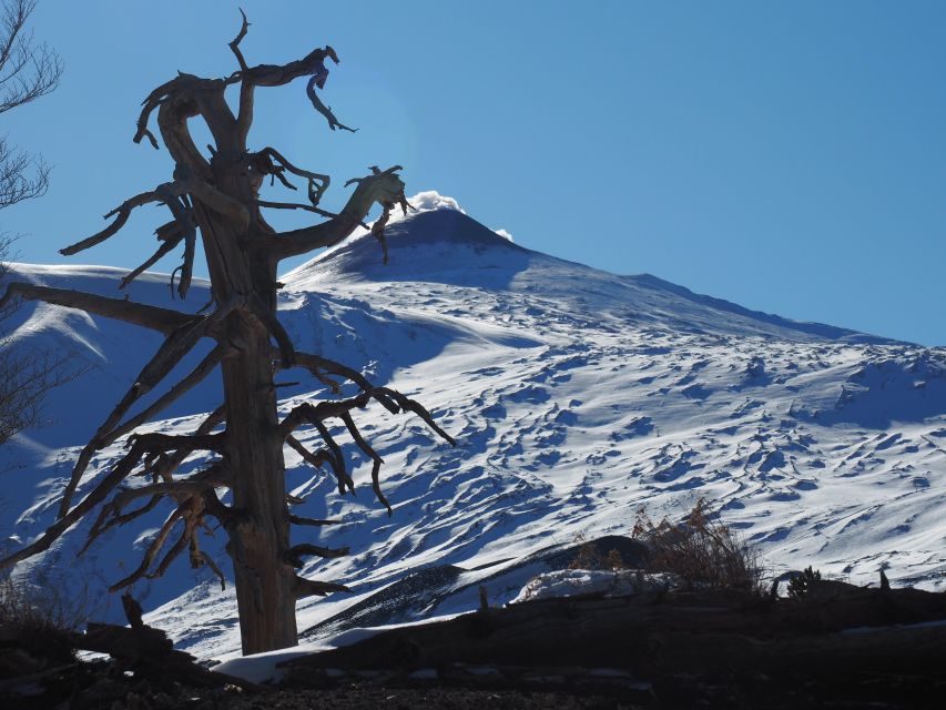 Mount Etna: Trek to the Craters of The 2002 Eruption