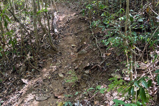 Mount Healthy National Park Private Hike Tour in Tortola