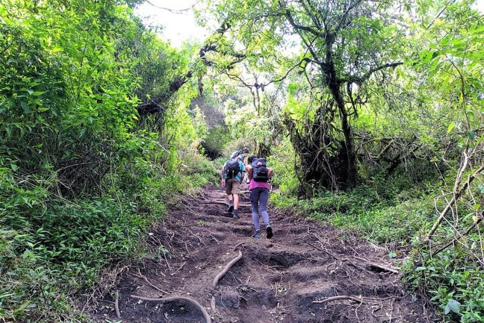 Mount Merbabu Hiking Tour 2D1N With Camping