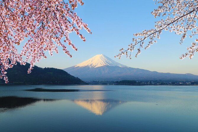 Mt Fuji Lakeshores Full-Day Bike Tour