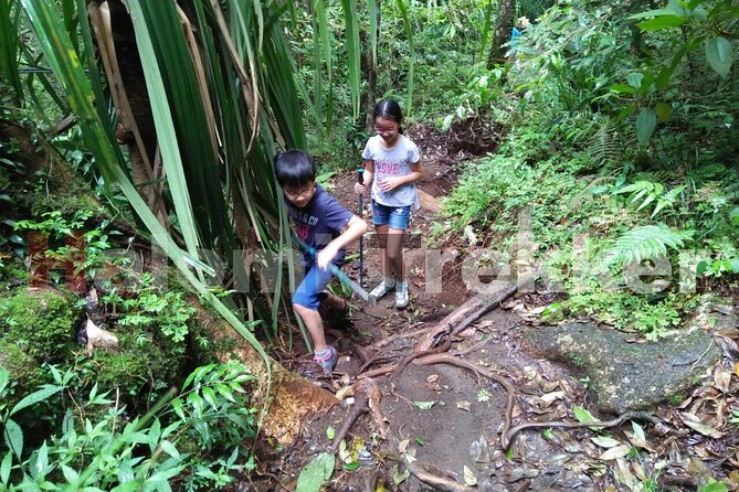 Mt Rinjani Trekking 2 Days 1 Night (Senaru Crater Rim)