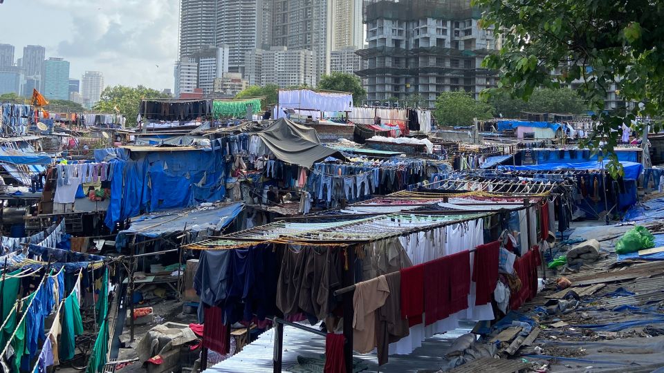 Mumbai: Dharavi Slum & Dhobi Ghat With Local Train Ride - Tour Overview