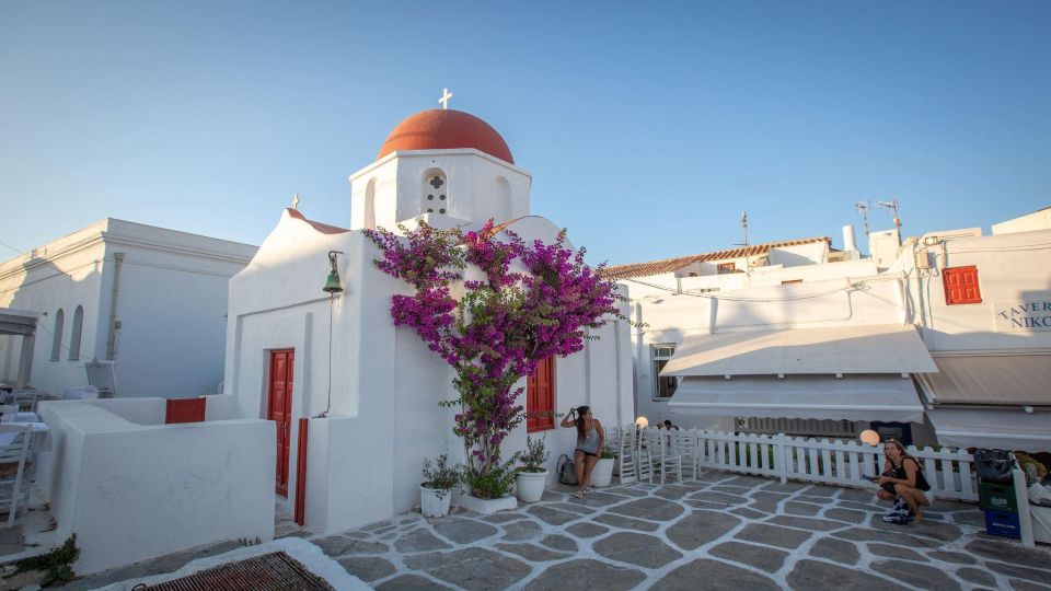 Mykonos: Mykonos Island Private Tour