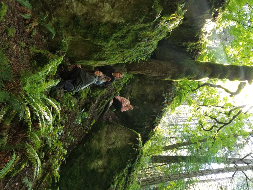 Mystical Rainforest Tour – Forest Magick