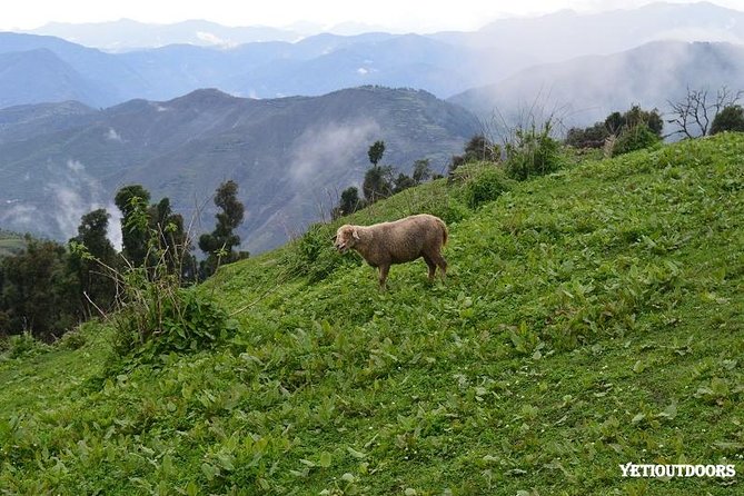 Naag Tibba Trek