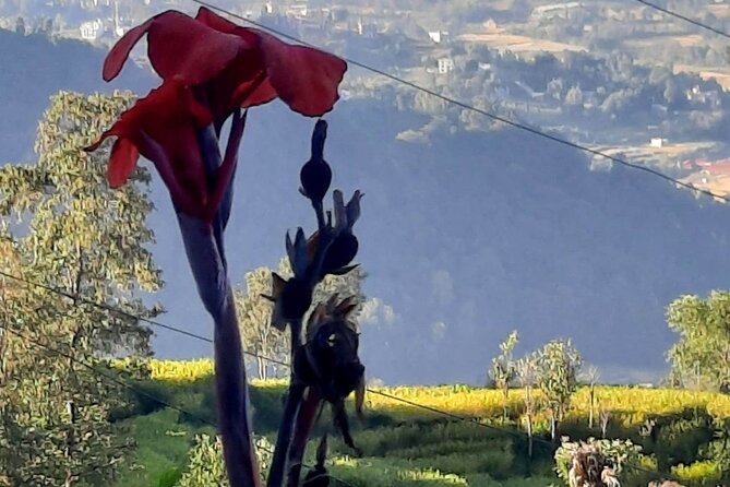 Nagarkot (2175m) Sunrise and Day Hike to Changunarayan Temple