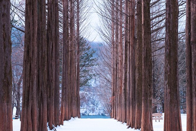 Nami Island & Strawberry Trip With Railbike & Opt. Korean Garden