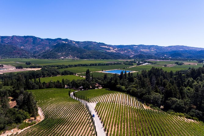 Napa Valleys Best Wine Tour W/ Local Expert