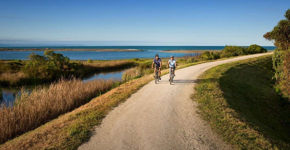 Napier: Cape Coast Winery Tour on Pedal or E-Bikes