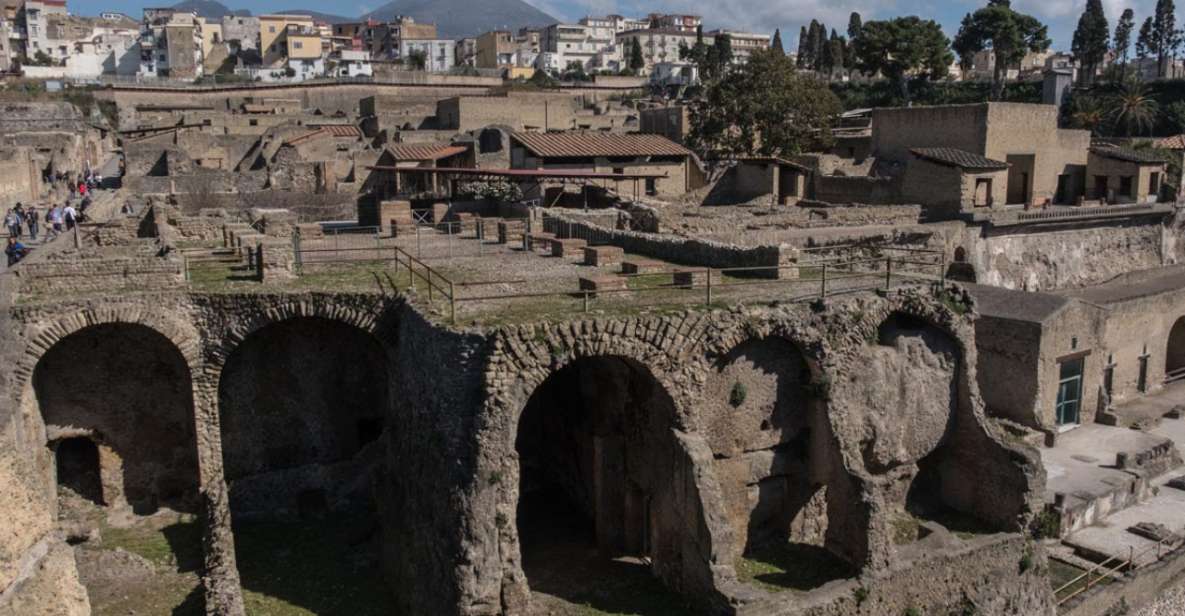 Naples: Herculaneum Entry Ticket With Audioguide - Ticket Pricing Details