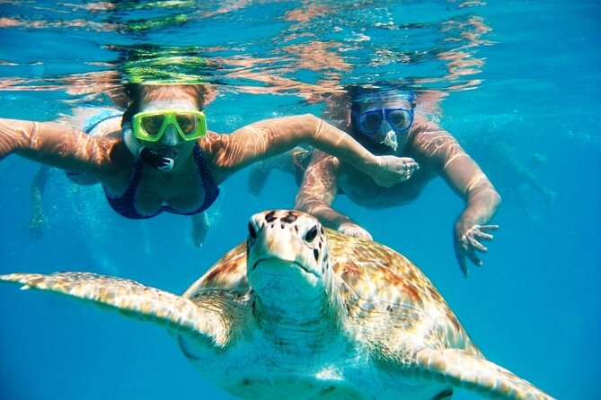 Nassau Aquatic Reef Tour: Snorkel, Turtle Watch, Lunch Included