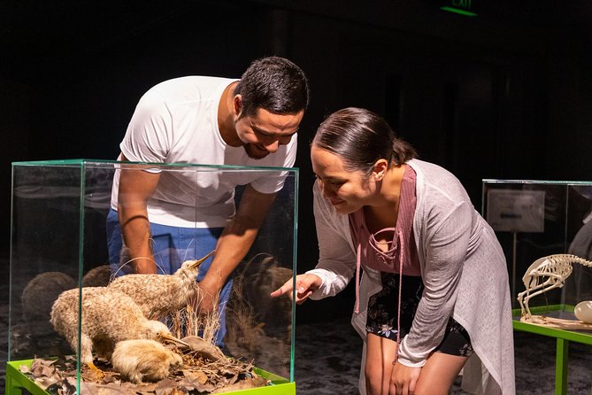 National Kiwi Hatchery – Kiwi Encounter Tour