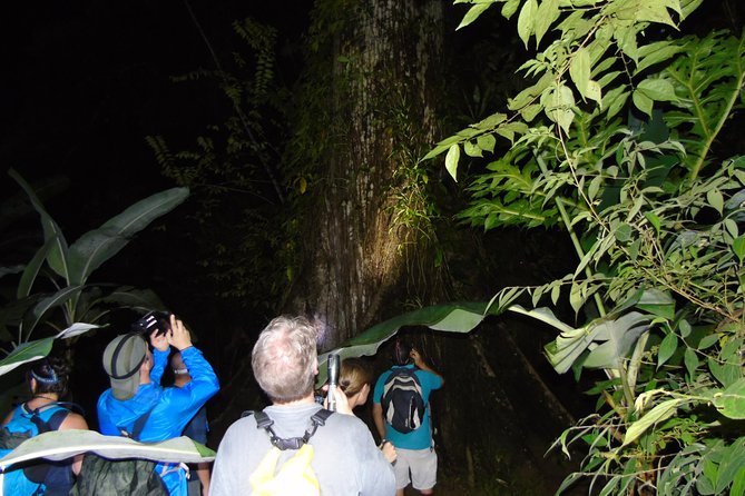 Nativos Corcovado Night Hike in DrakeBay - Overview of the Night Hike