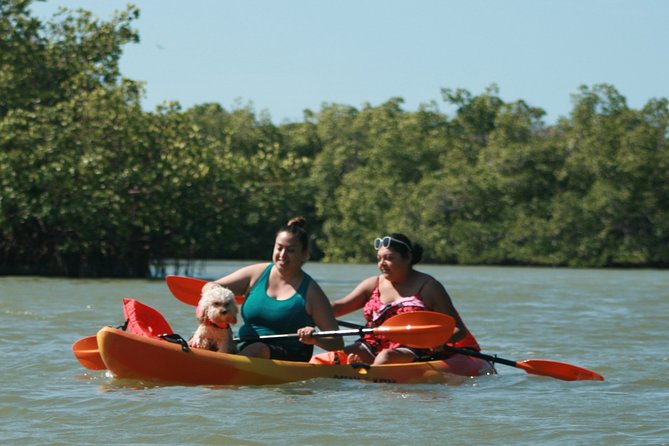 Nauti Exposures - Guided Kayak Tour Through the Mangroves - Whats Included