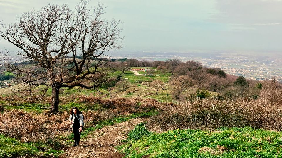 Near Rome: Irish / Goethe Hike in Frascati to Monte Tuscolo