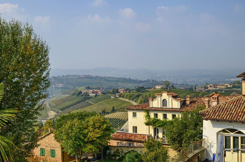 Neive: Cycling Tour From Neive to Barbaresco