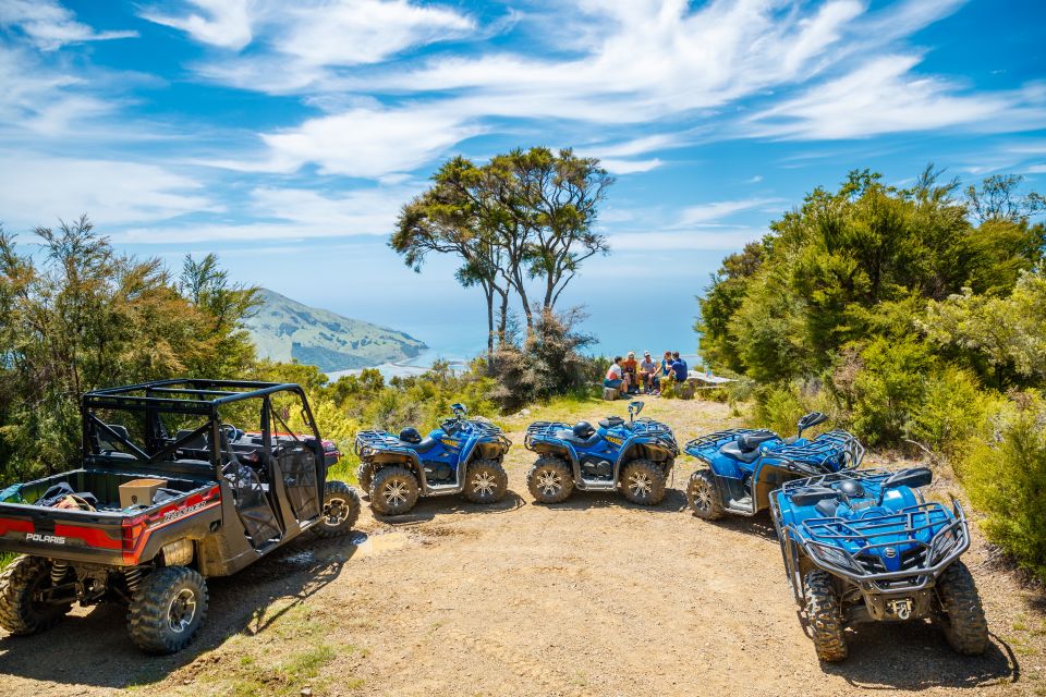 Nelson: Guided Quad Biking Tour Through Forest and Farmland