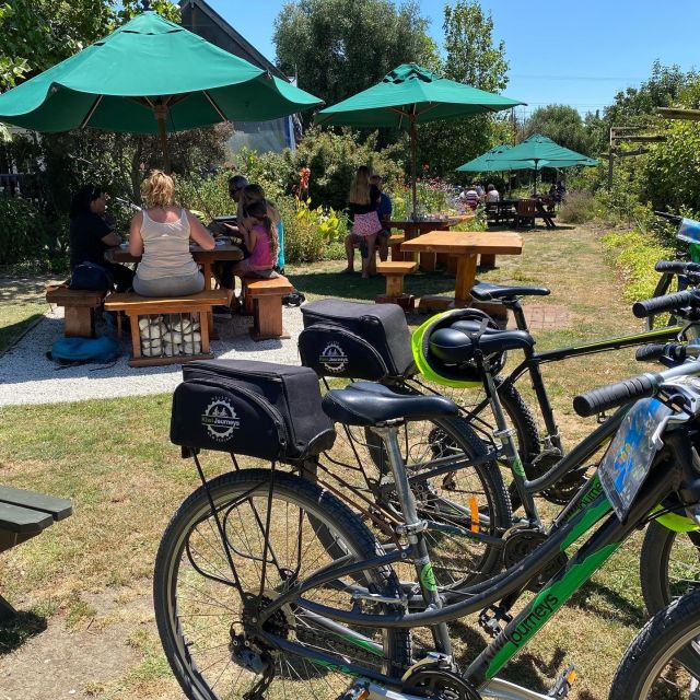 Nelson: Self-Guided Tunnel to Town Cycling Tour via Mapua