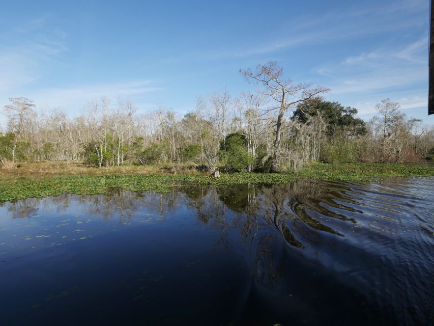 New Orleans: Airboat or Pontoon Boat Cruise With Transfers