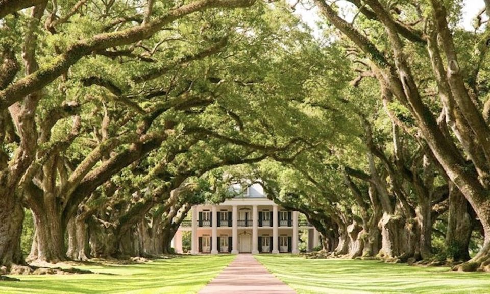 New Orleans: Oak Alley or Laura Plantation & Airboat Tour