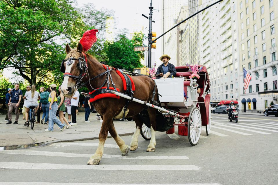 New York City: Central Park Private Horse and Carriage Tour - Explore Central Park