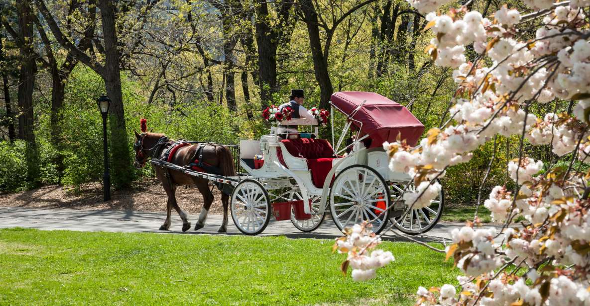 New York City: Horse and Carriage Rides in Central Park