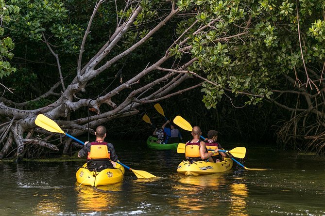 Night Kayaking Experience on Bioluminescent Lagoon in Fajardo