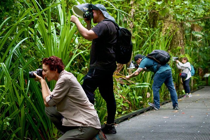 Night Walk in Cairns Botanic Gardens – Lets Go Buggin