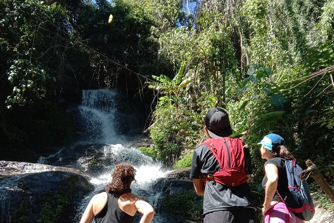 No.1 Chiang Mai: 7-Hour Doi Suthep National Park Summit Hiking