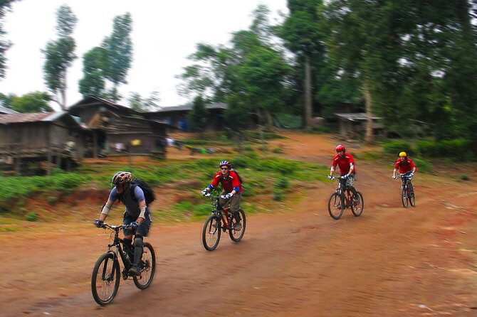 No.1 Chiang Mai: Beginner DH Mountain Biking : Doi Suthep N. Park