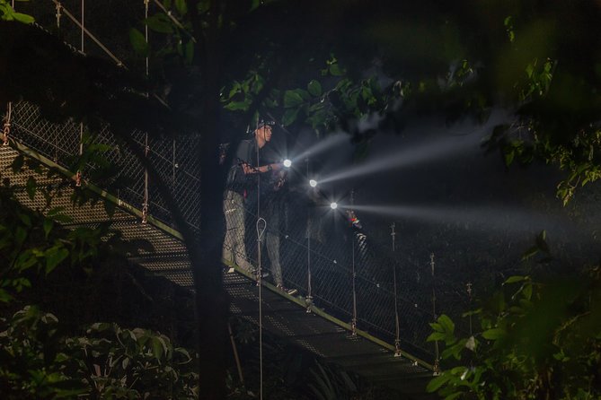 Nocturnal Walk in the Hanging Bridges