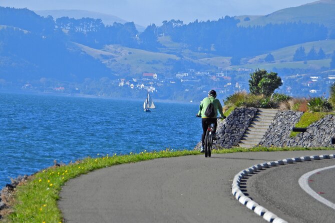 Non-Electric Bike Rental