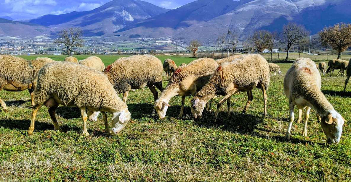 Norcia: Full-Day Hiking Tour With Meat and Cheese Tasting