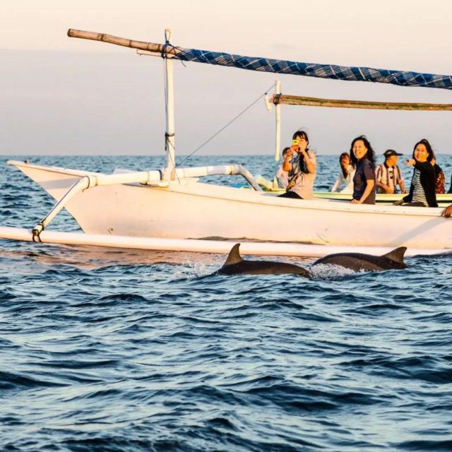 North Bali : Dolphin Wacthing Tour and Waterfall