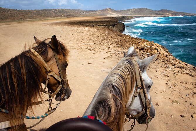 North Coast and Countryside Horseback Riding Tour in Aruba