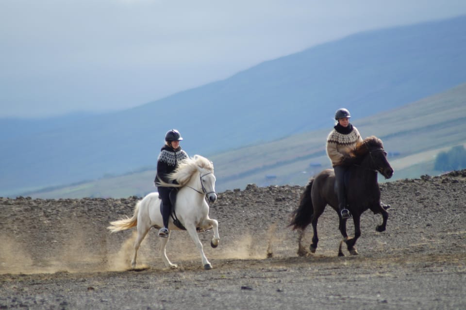 North Iceland: Horseback Riding Tour - Tour Overview