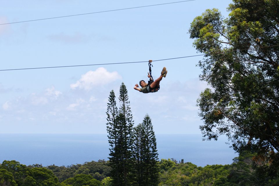 North Maui: 7 Line Zipline Adventure With Ocean Views