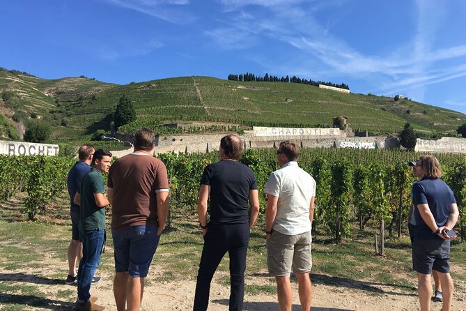 Northern Rhône Valley Day Tour With Wine Tasting From Lyon - Tour Overview