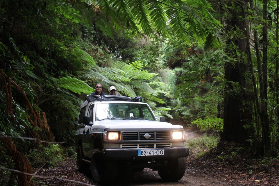 Northwests 50 Shades of Green, Rock Pools & Waterfalls Tour