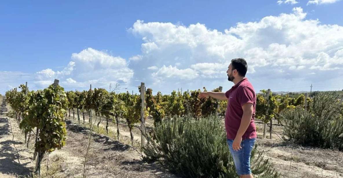 Noto: Wine Tasting and Estate Tour With Local Products