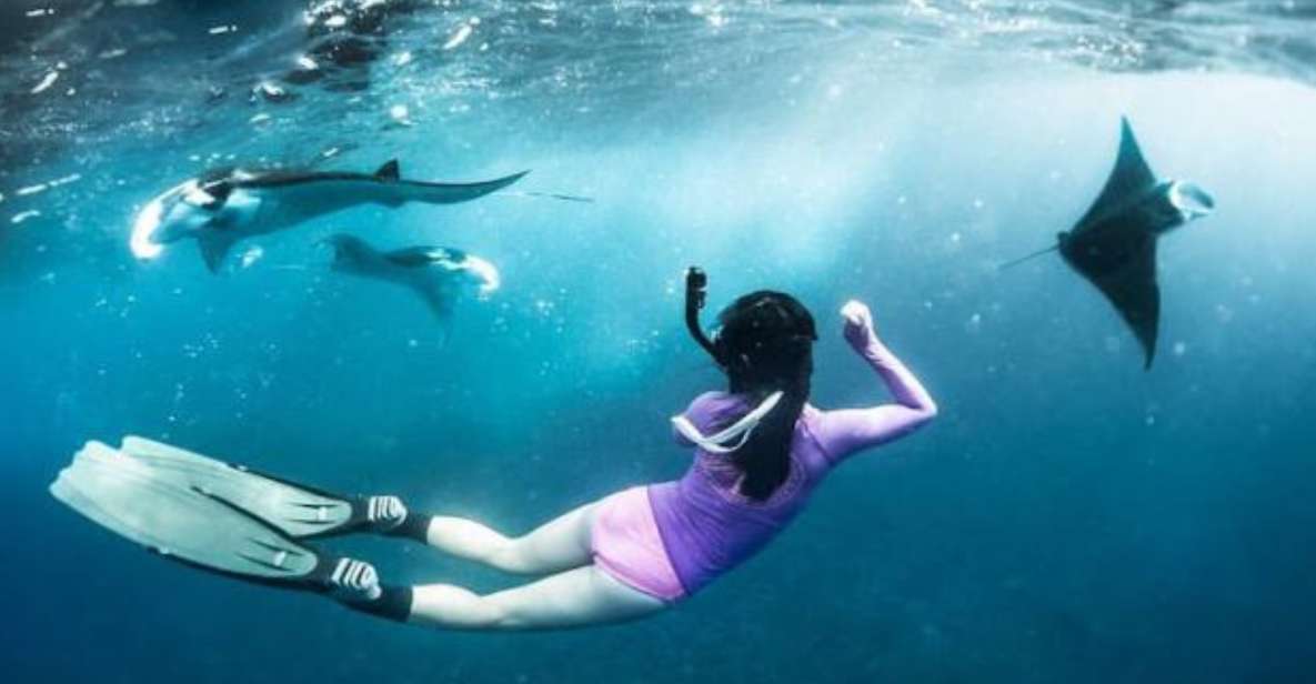 Nusa Penida: Snorkeling 3 Spots With Manta Options