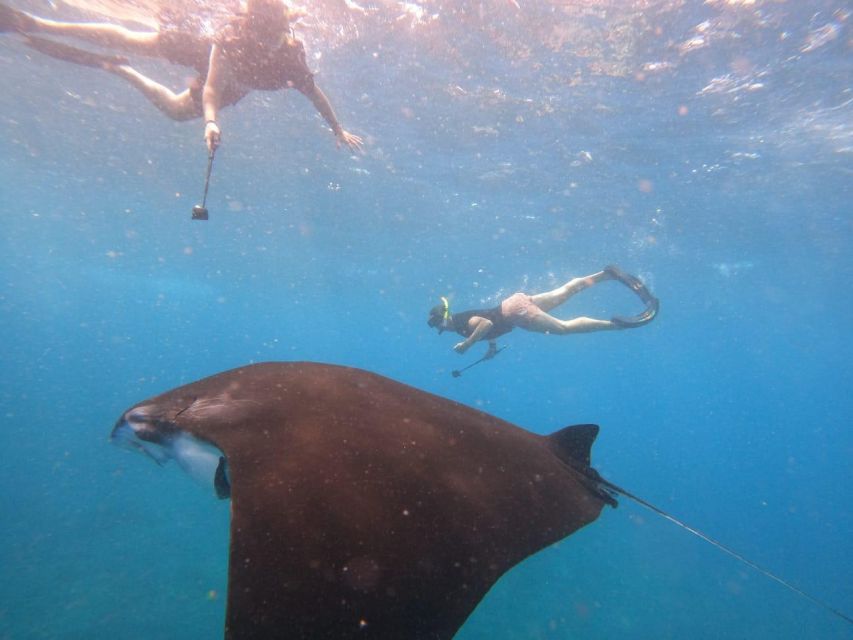 Nusa Penida: West Island Day Tour With Lunch And Snorkelling