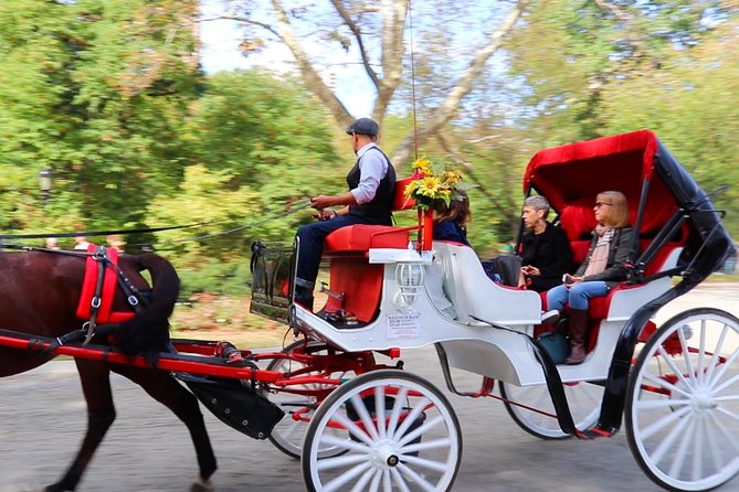 NYC Central Park Horse Carriage Ride (Up to 4 Adults) - Tour Overview and Highlights