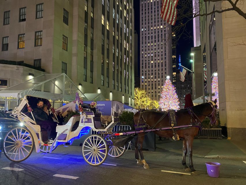 NYC: Guided Central Park Horse Carriage Ride - Overview of the Experience